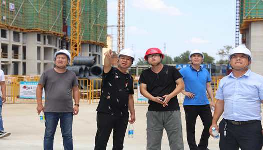 米兰官方网页版董事会巡检圆满完成